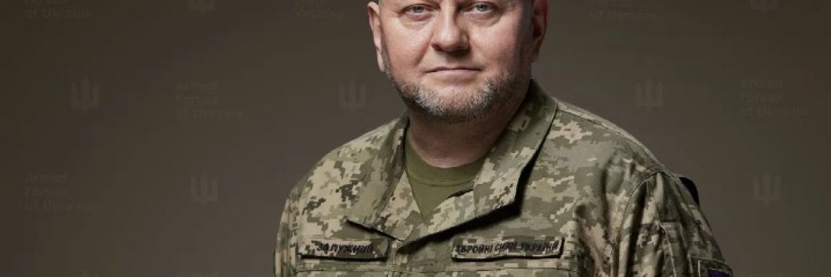 Головнокомандувач української армії Валерій Залужний: «Дизайн війни змінився»