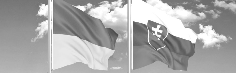 Нове опитування у Словаччині: половина – за перемогу України, 19% – за РФ  